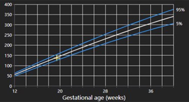 Precision-Reporting-img-OBGYN Precision-Reporting-img-OBGYN
